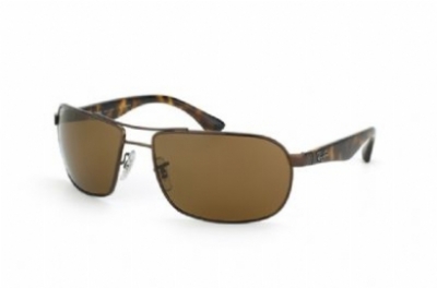  brown polarized/brown tortoise