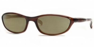  dark brown/brown polarized