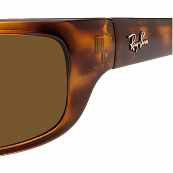  brown polarized/tortoise