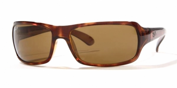  brown polarized/tortoise