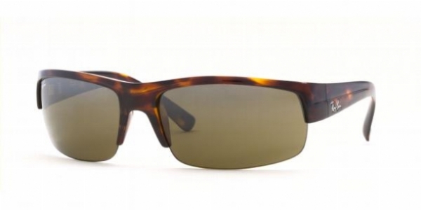  brown polarized/tortoise