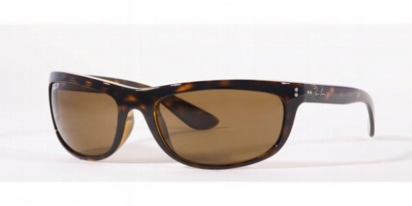  tortoiseiose/brown polarized