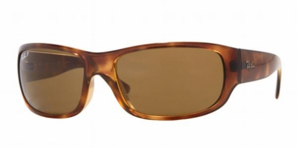  tortoise/brown polarized