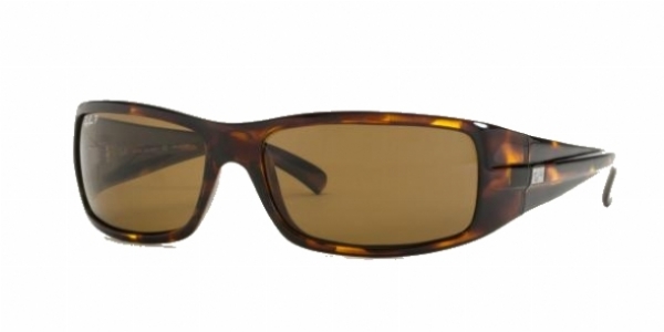  brown polarized/tortoise