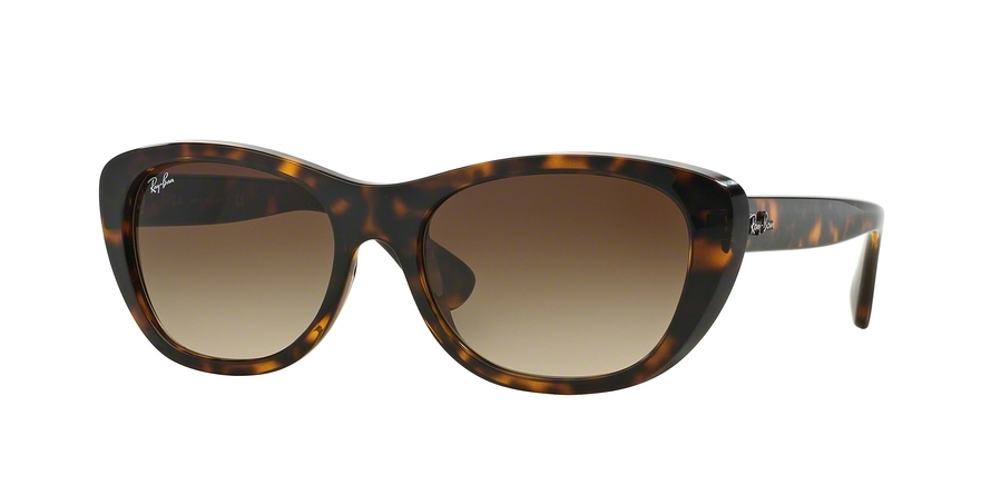 RAY BAN 4227 71013