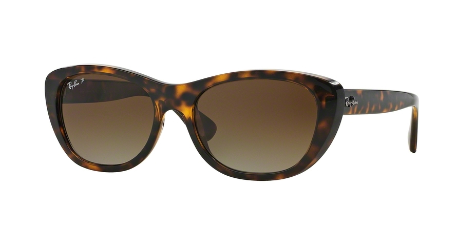 RAY BAN 4227 710T5