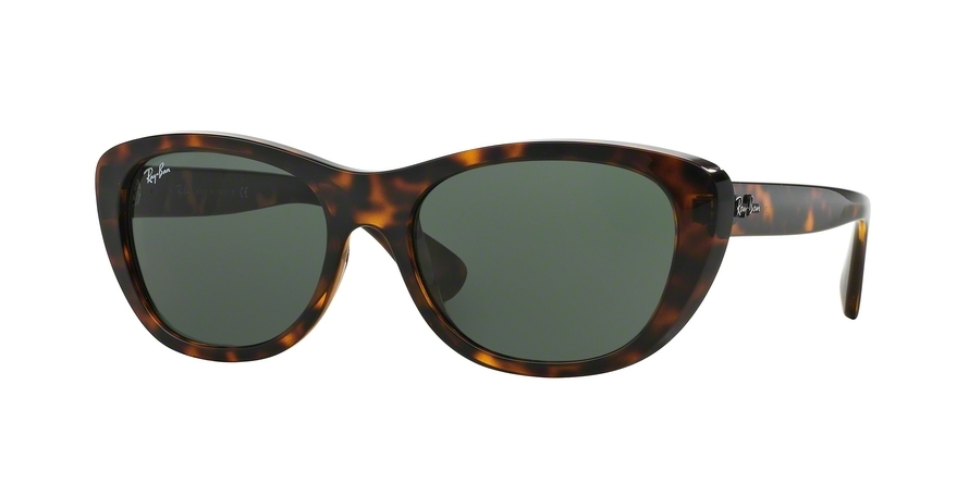 RAY BAN 4227 71071