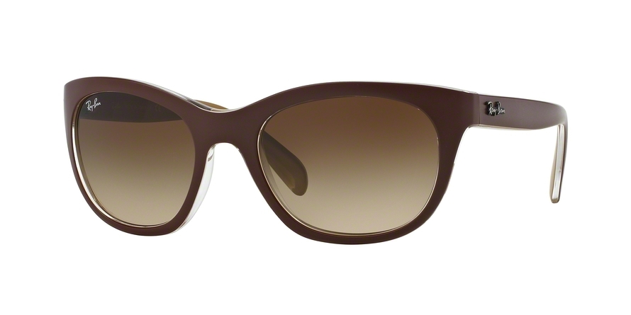 RAY BAN 4216 619313