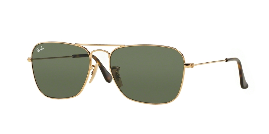 RAY BAN 3136 181