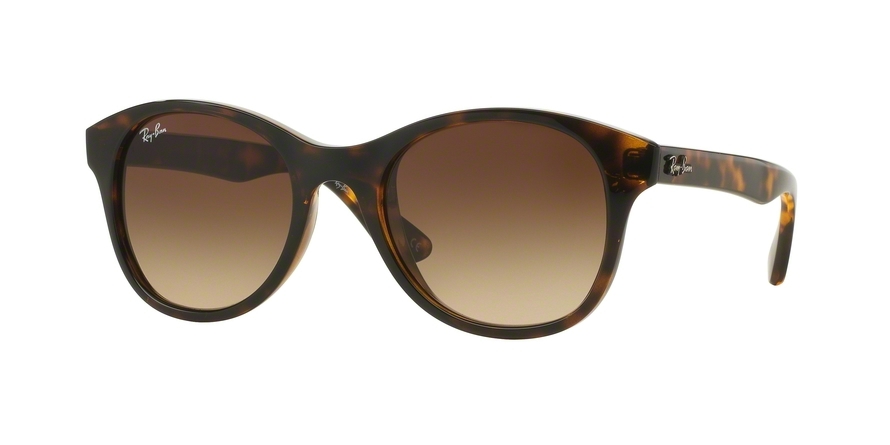 RAY BAN 4203 71013