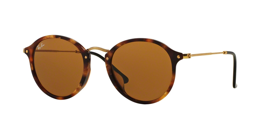 RAY BAN 2447F 1160