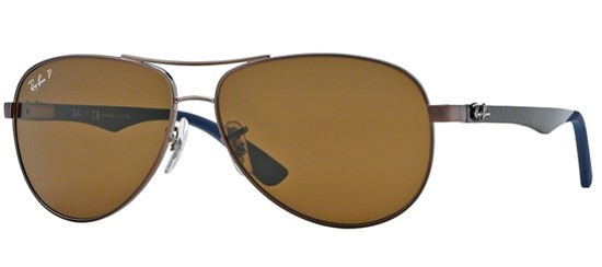  brown/brown polarized