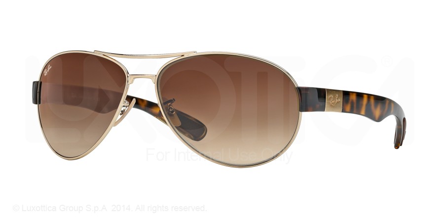 RAY BAN 3509