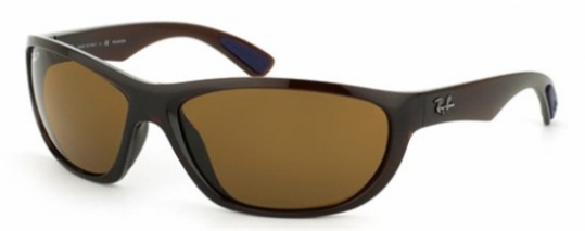  brown polarized/shiny brown