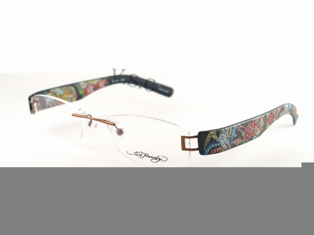 ED HARDY EHL 801