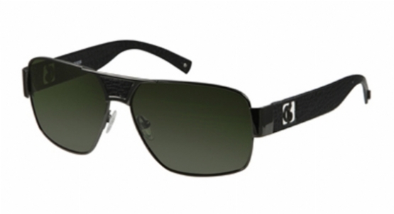  green polarized/shiny gunmetal