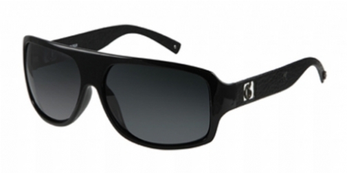  dark gray polarized/shiny black