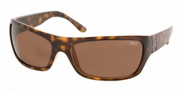  brown/darkhavana