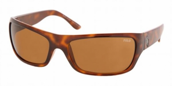  brown/lighthavana