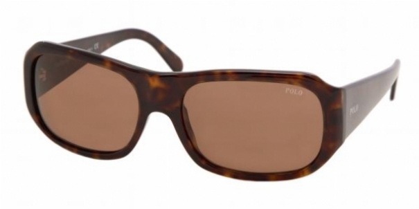  brown/havana