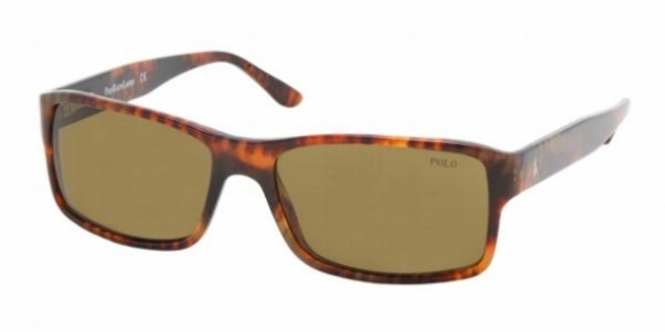  brown/spotted havana
