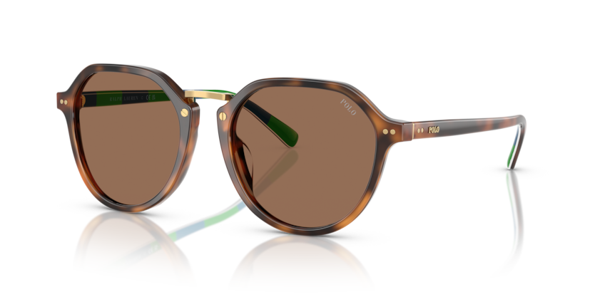  dark brown/shiny red havana