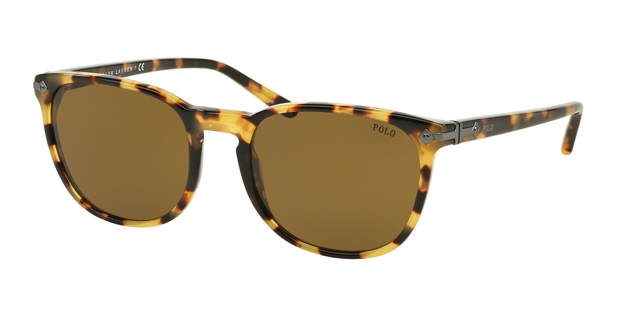  olive green/shiny spotty tortoise