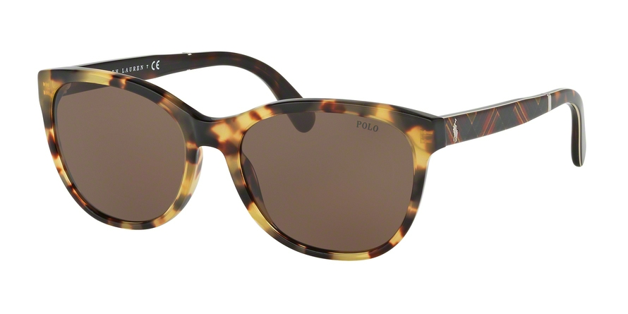  brown/havana spotty