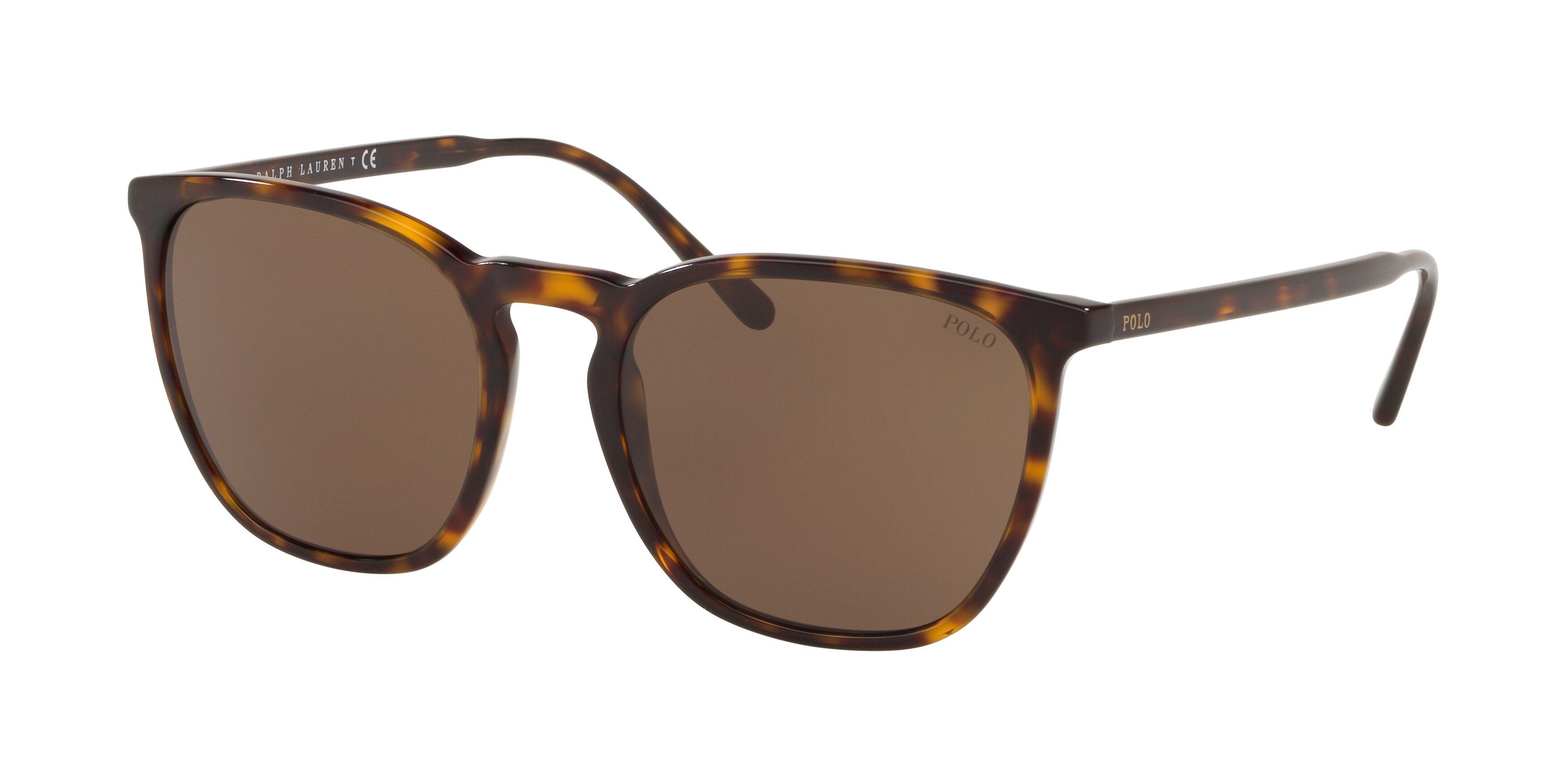  brown/dark havana