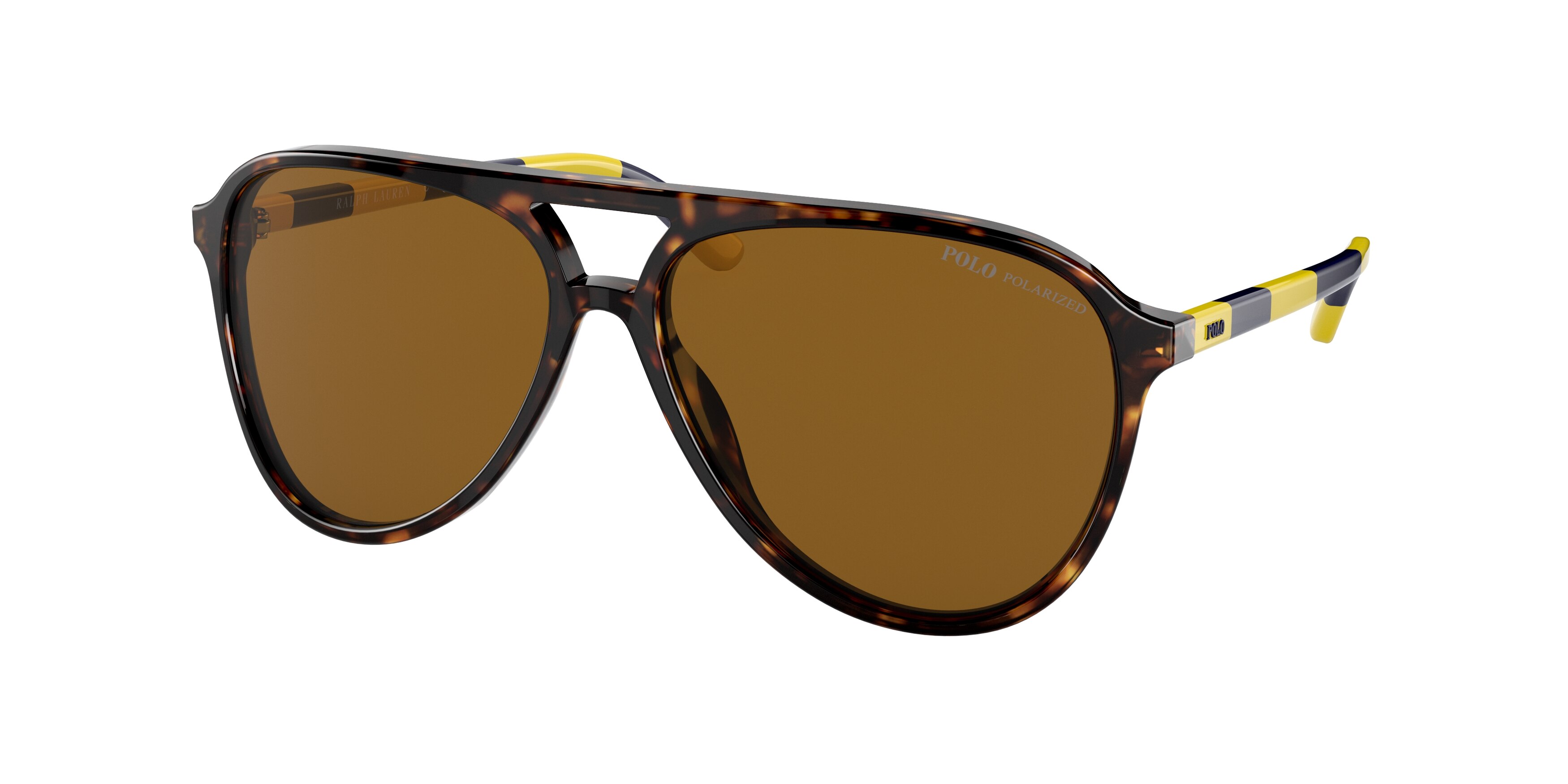  polar brown/shiny dark havana