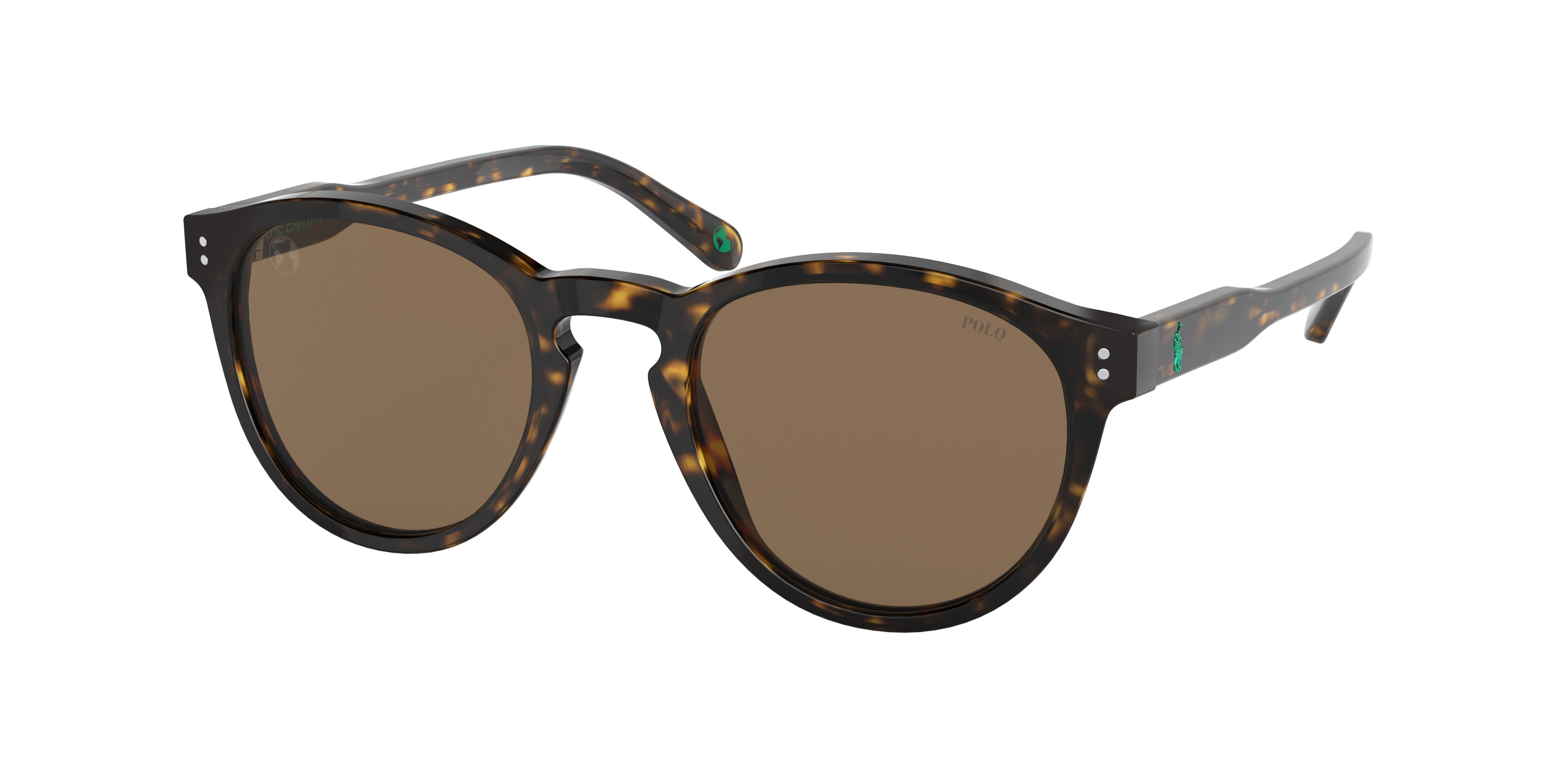  brown/shiny dark havana