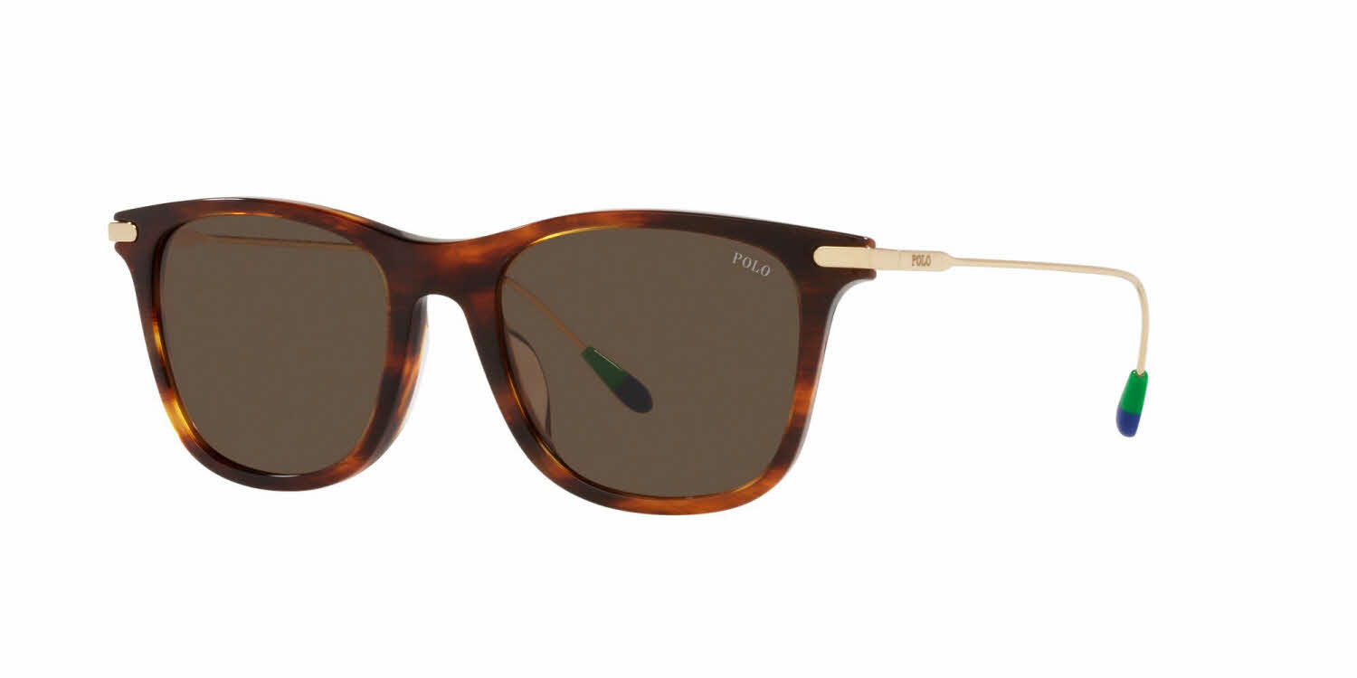  brown lens/shiny striped havana