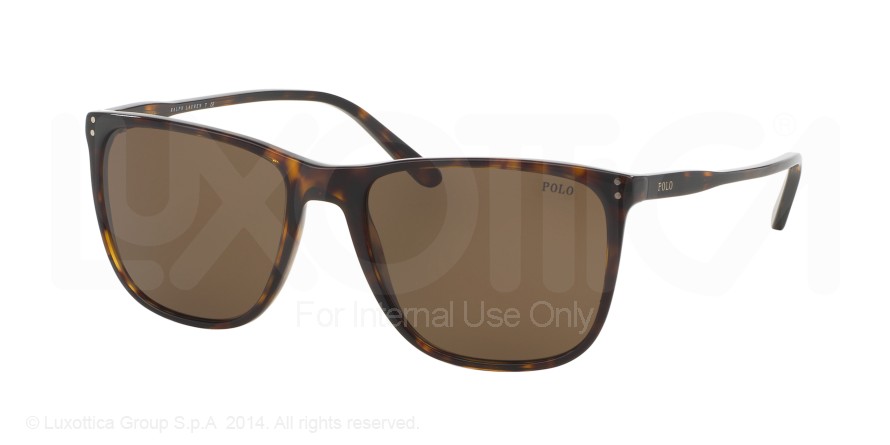  brown/dark havana