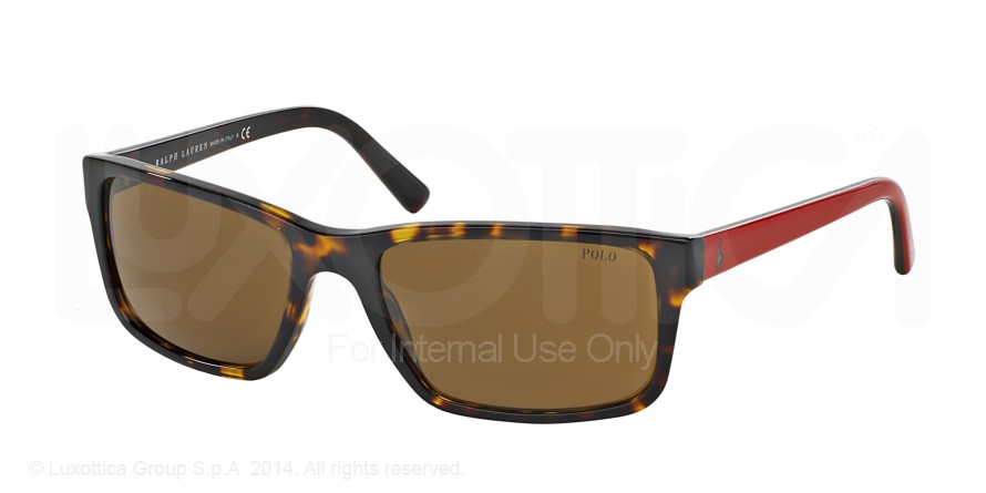  brown/dark tortoise