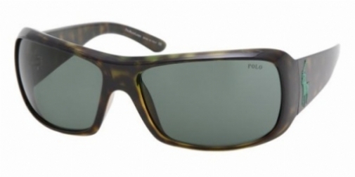  gray green/tortoise