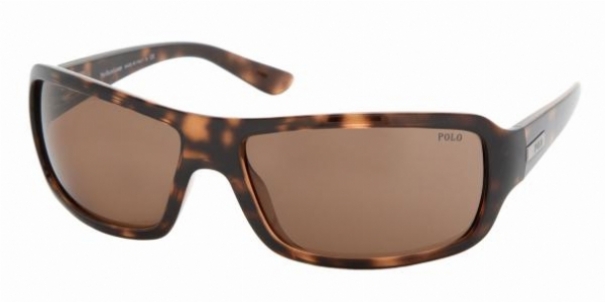  brown/dark havana