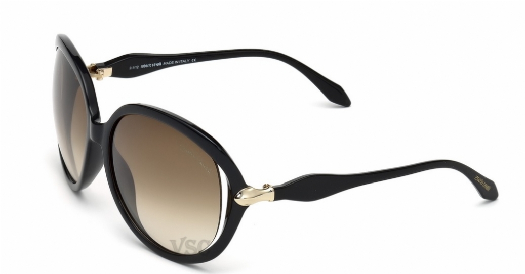 ROBERTO CAVALLI BANYAN 732S 01F