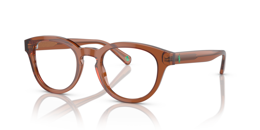  clear/shiny transparent brown