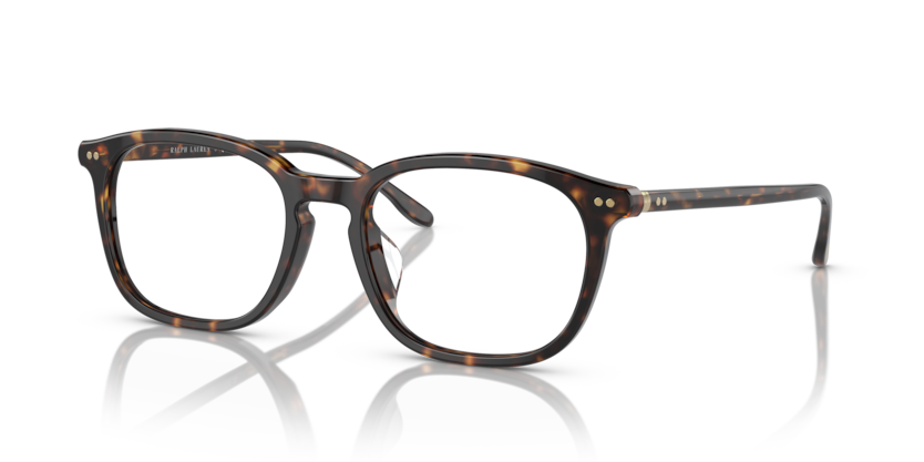  clear/shiny dark havana