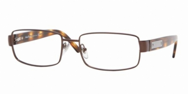  clearlens/dark brown