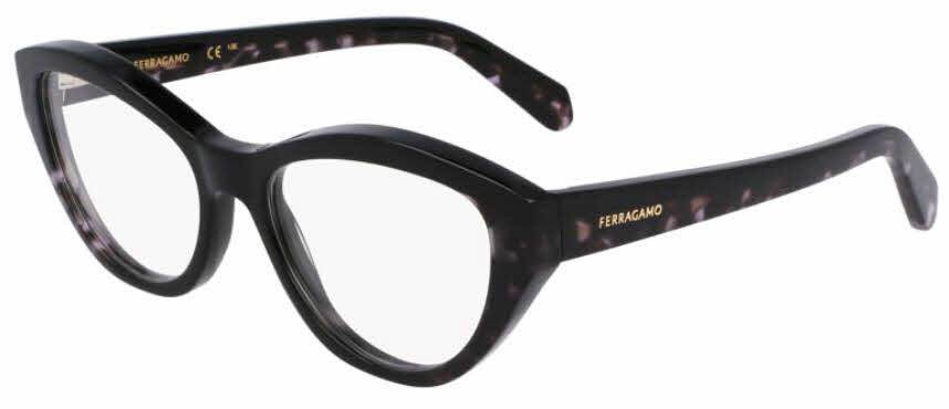  black tortoise/black