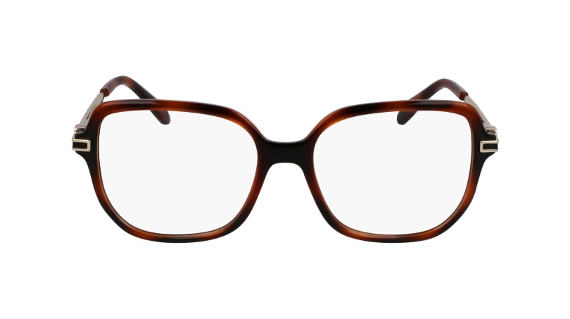  clear lenses/tortoise
