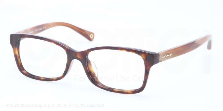  clear/dark tortoiselight brown