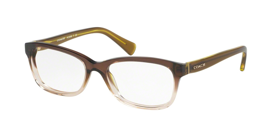  clear/olive brown gradientolive