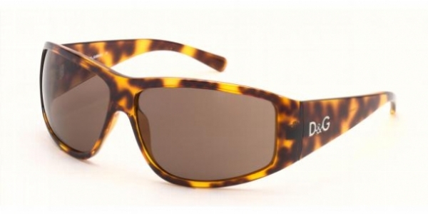 DOLCE GABBANA 8003 50273