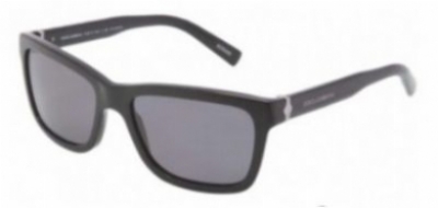  polarized gray /black