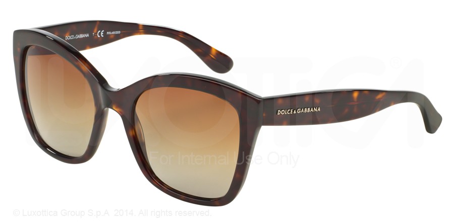 DOLCE GABBANA 4240 502T5