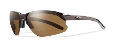  brown polarized/brown