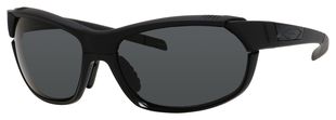  gray polarized/shiny black