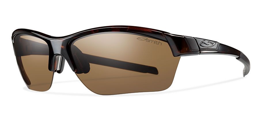  tortoise/polarized brown carbonic polarized